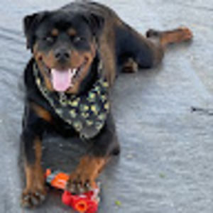 Meet your Posher, Falisha